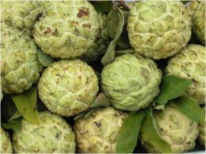 Custard Apple (Mãng Cầu)